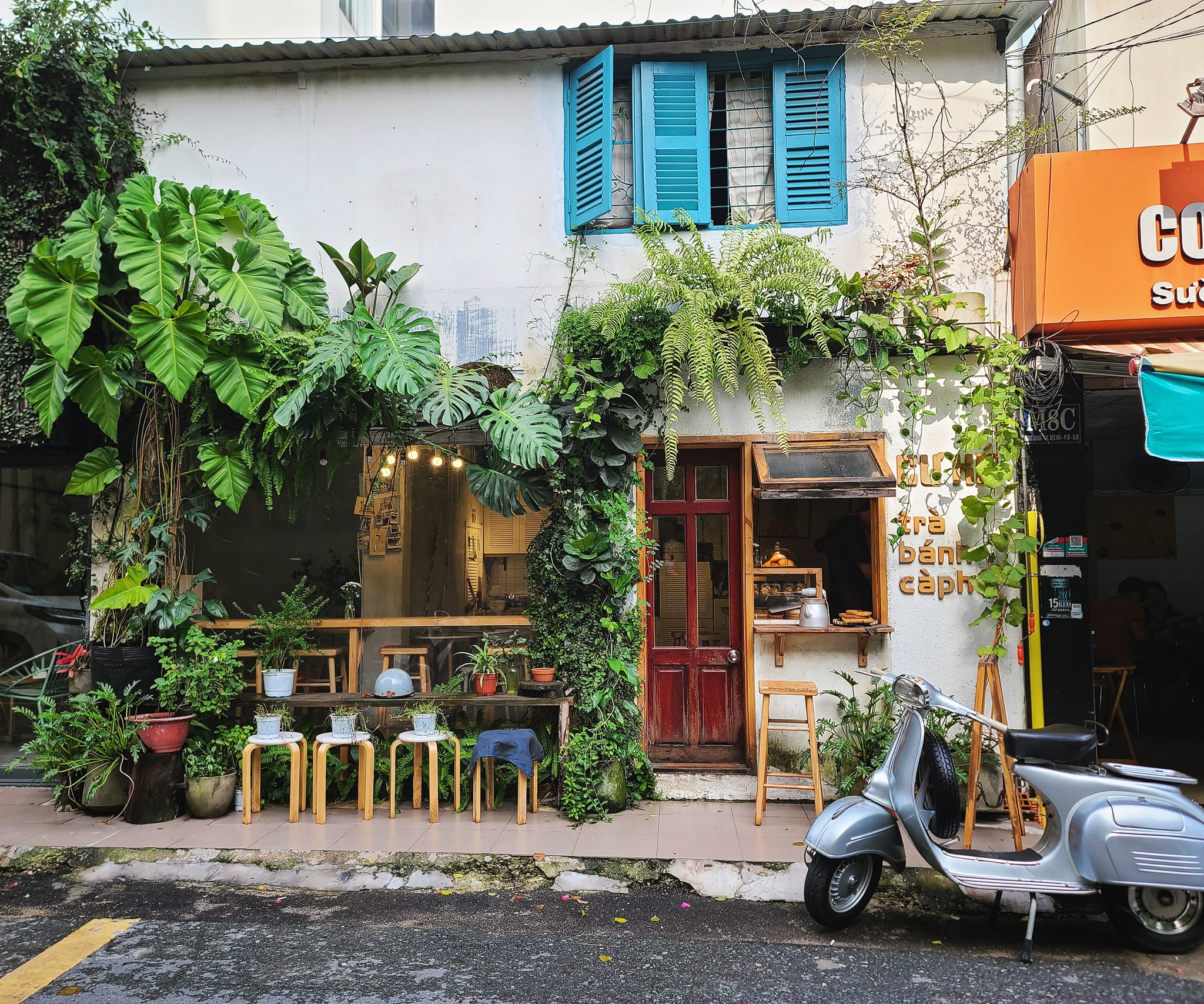 Kiểng Lá, Cây Cảnh Trong Kiến Trúc Và Không Gian Sống